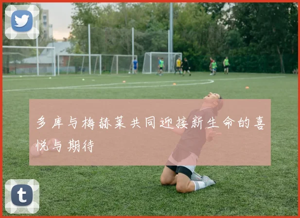 多库与梅赫莱共同迎接新生命的喜悦与期待
